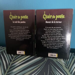 Livre-Chair-de-poule-Manoir-de-la-terreur-La-nuit-des-pantins-RL-Stine (1)
