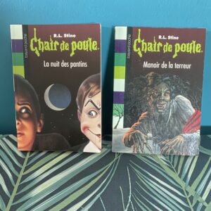 Lot de livres Chair de poule R.L Stine Manoir de la terreur n°57 et La nuit des pantins n°2