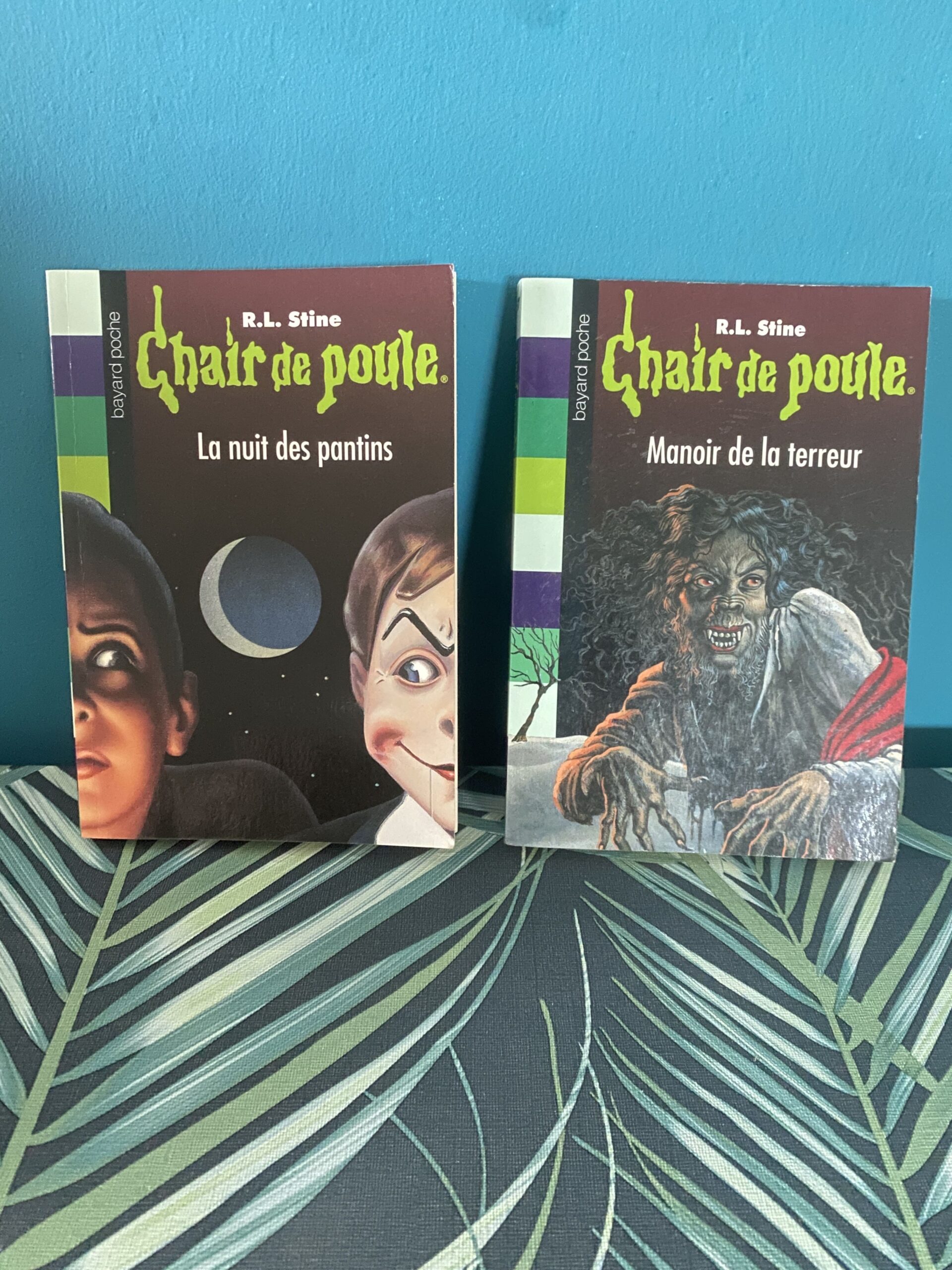 Lot de livres Chair de poule R.L Stine Manoir de la terreur n°57 et La nuit des pantins n°2