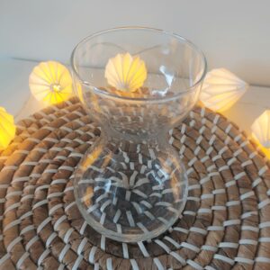 Petite carafe carafon en verre transparent pour vin eau ou vase décoratif